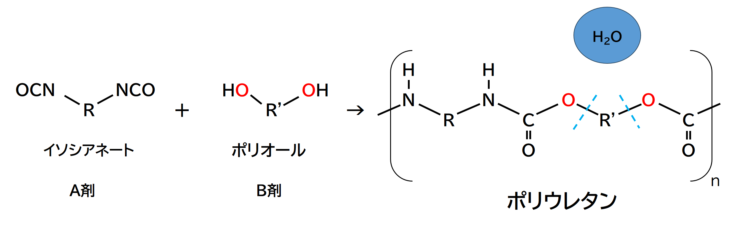 A剤のイソシアネートとB剤のポリオールが反応してポリウレタンになる化学式。分子構造の中に酸素の結合があり、水色の破線の位置で加水分解が起こることを示している