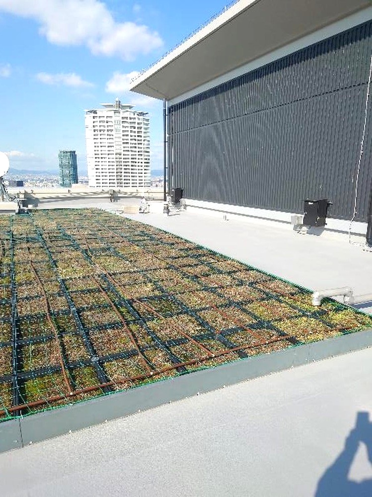 施工後、屋上の端部と手すり周りの納まり